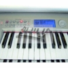 Ringway Orgel RS480 EU & Ketron Arranger Modul SD40 Vorführinstrument – Bild 9